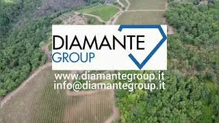 Azienda agricola vitivinicola biologica di 248 Ha con casale e cantina - AZ140 - Gaiole in Chianti