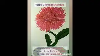 Virgo Chrysanthemum&nbsp;Renee Arbia Art Gallery&nbsp;Flowers of the Zodiac ExhibitArtpal.com/ReneeArbia&nbsp;