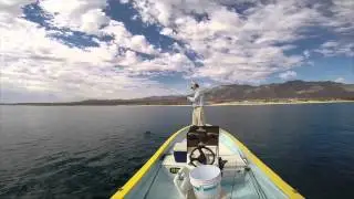 Baja Spring 2014