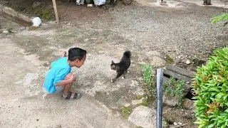Mashaalloh.. mengenal nama-nama pohon yang ada di sekitar kita