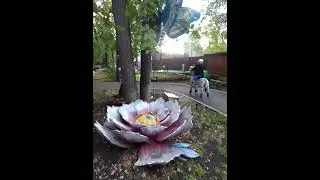 21 августа 2023 г.