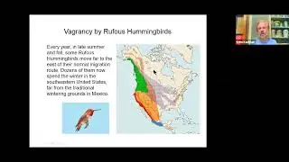 Patterns of Bird Migration in North America (SEP 2020)