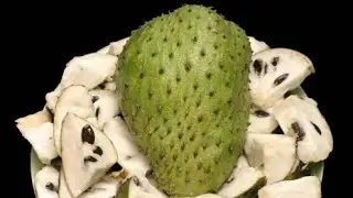 Soursop and Cancer: The Truth About Soursop Leaf Tea & Its Health Benefits