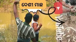 ଛୋଟ ମାଛ କଲା ବଡ଼ କାଣ୍ଡ 😱🦈🐟।ହସି ହସି ପେଟ ଦରଜ 🤣🤣। ମୁଁ ବି Vlogger 