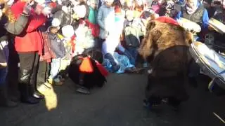 ursul la Racova 31-12-2012