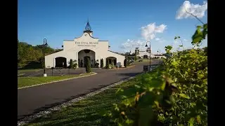 Out N About Columbus visits Gervasi Vineyard