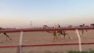 الشوط 3  / 30-1-2026