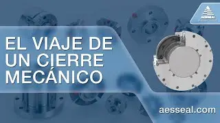 Journey of a Seal (ES translation)