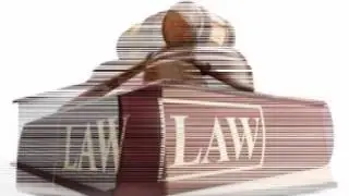 low policy 19