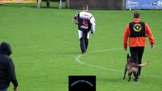 NK NVBH Germali's Nero Ralph Sweebroek afd C