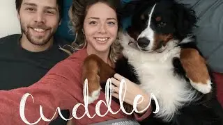 Cuddling With A Bernese Mountain Dog | Compilation *RELAXING*