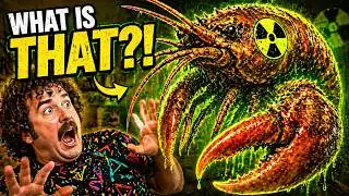 Radioactive Shrimp From Walmart Nightmare &ndash; Funny Comedy Song