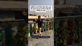 Gardening is not casual - Veg Roof Vertical Vegetable Garden Setup 3