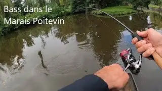 Pêche du Black Bass en barque dans le Marais Poitevin - Partie 1