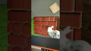normal mapping and parallax mapping
