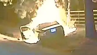 When Evading Cops Ends in TOTAL DISASTER #17