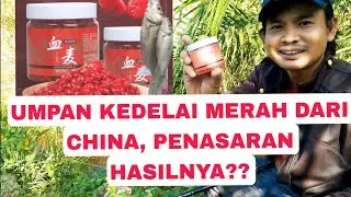 UMPAN ANEH, KEDELAI MERAH DARI CHINA. BIKIN PENASARAN??