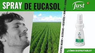 Eucasol Swiss Just Spray de Eucalipto 🌱 Formas de utilizarlo