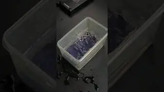 Samsung Galaxy S24 Ultra Unboxing Titanium Violet