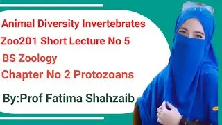 Phylum Apicomplexa|life cycle of parasites|Zoo201 Vu short lecture|Zoology by Fatima Shahzaib