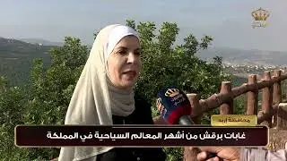 غابات برقش من أشهر المعالم السياحية في المملكة