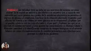 Problema 2 - Mutaci&oacute;n inducida por rayos gamma y bloqueo de entrada de glucosa .