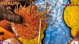 TOP 5 : SEA URCHIN SLICING VIDEO | JAPANESE SEAFOOD, ASMR | Bong Fish Cutter