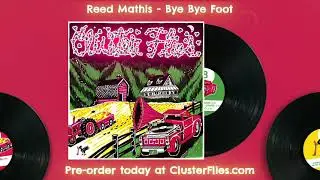 Cluster Flies: Reed Mathis - 