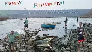 Fishing#long video#Pathan fish#Volvofish#like#subscribe# 🎣🙏