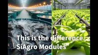 Why Aquaculture & Hydroponics Fail &ndash; And How Stable Systems Change Everything