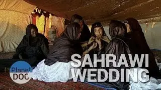 Sahrawi wedding | Culture - Planet Doc Full Documentaries