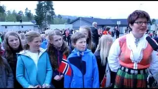17 mai fra Rindal 2016