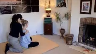Shiatsu Assis (avec les instructions françaises)