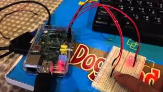 Simple Put Button Input with  Raspberry Pi