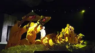 Shaolin Kungfu SHOW