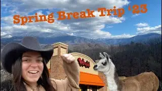 vlog #1 | SPRING Break Trip &lsquo;23, horseback riding, and trying Bojangles for the FIRST time!!