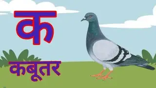 Ka Se Kabootar, Kha Se Khargosh | Learn Hindi Alphabet for Kids.Ka Se Kabootar, Kha Se Khargosh |