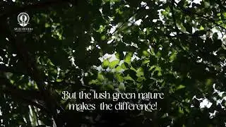 Sreechithra Ayurveda| Kerala Ayurvedic Resort| Rejuvenation and Authentic Ayurvedic Treatments