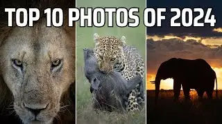 Мои 10 лучших фотографий 2024 года