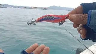EGI MURAH BERKUALITAS !!! KITA COBA MANCING CUMI PAKE UMPAN INI || BAGAIMANA HASILNYA ??? 