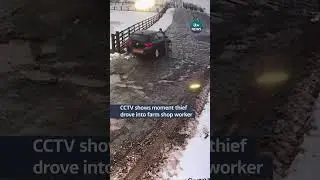 Thief caught on CCTV driving his car into a worker who tried to block his escape from a farm shop