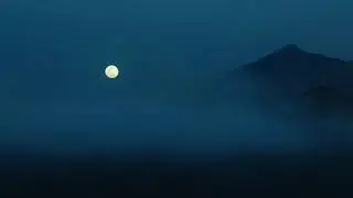 Foggy Night Sounds for Deep Sleep, Heavy Wind Cricket Sounds