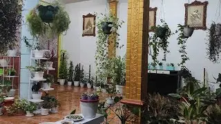 Membuat Taman Sederhana Di Tepi Teras
