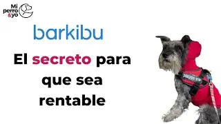 Barkibu opiniones. El SECRETO ✳️ para que sea RENTABLE. #perrosespaña #seguros #saludanimal