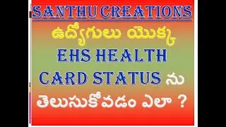 How to Check Status Employee Health Scheme (EHS)
