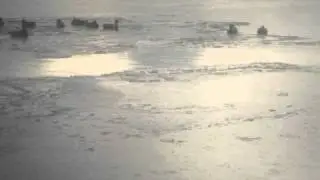 MOV02735
