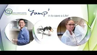 RHH Research Foundation 'Jump' in to Save a Life
