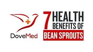 7 Health Benefits Of Bean Sprouts