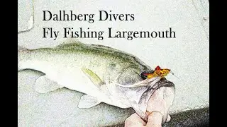 Fly Fishing Largemouth Bass - Lake Picachos (Day 3 - EPIC Topwater)