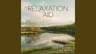 Relaxation Aid